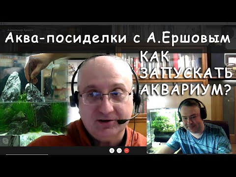 Видео: Как запускать аквариум. Аква-посиделки с А. Ершовым