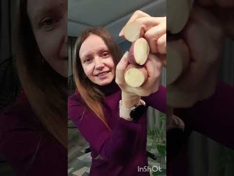 Видео: Сорти батату 🍠🍠🍠 для розсади 🌱🌱🌱