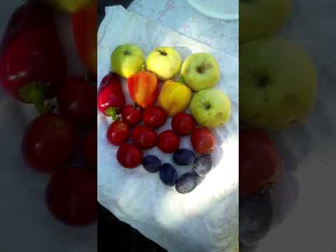 Видео: Соус з помідорів і слив