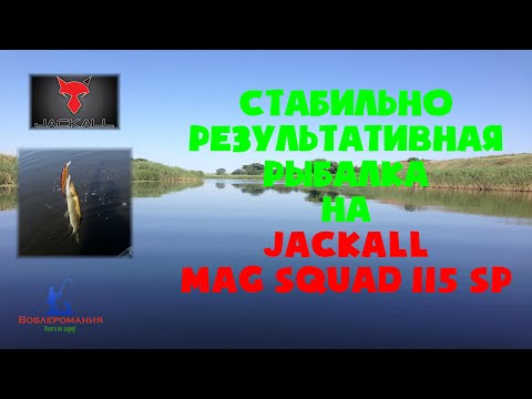 Видео: Стабильно результативная рыбалка на Jackall Mag Squad 115 sp