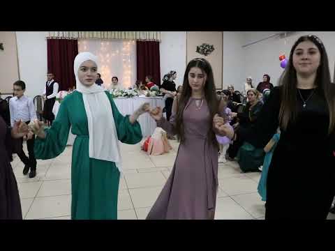 Видео: Studio Dunya.Свадьба Сальск 30.10.23.часть 3.