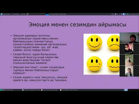 Видео: Сезим жана эмоция