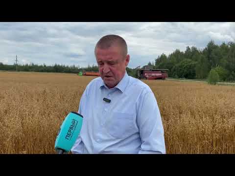 Видео: Леонид Заяц о ходе уборочной кампании