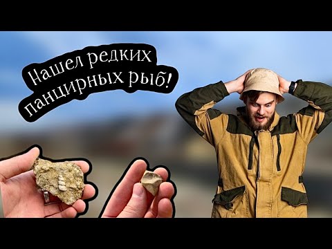 Видео: ОКАМЕНЕЛОСТИ САМЫХ НЕОБЫЧНЫХ РЫБ! Находки древнейших ископаемых позвоночных в нашем регионе!