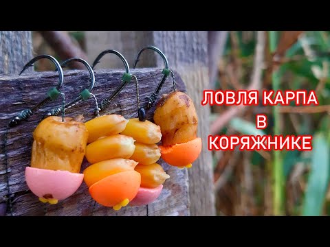 Видео: Ловля карпа в коряжнике. Как поймать карпа в корягах. Рыбалка с ночёвкой