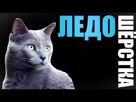 Видео: Самый грустный момент? | Коты-Воители