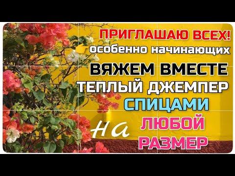 Видео: 🔥СУПЕР подробный попетельный мастер класс ВЯЖЕМ вместе новый классный модный стильный проект спицами