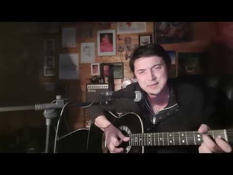 Видео: Летела жизнь (cover В.С. Высоцкий)