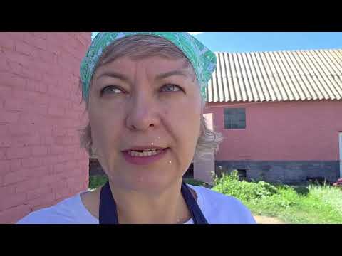 Видео: КРАСАВЧИК ЗАБОР ГОТОВ/ПЕРВЫЙ УРОЖАЙ СПЕЛЫХ,МЕДОВЫХ СЛИВ/ДАРЫ ОГОРОДНЫЕ РАДУЮТ.