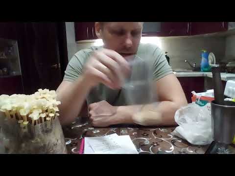 Видео: Субстрат,Влажность.Добавки(1 ч)