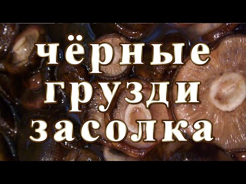 Видео: Чёрные грузди засолка.
