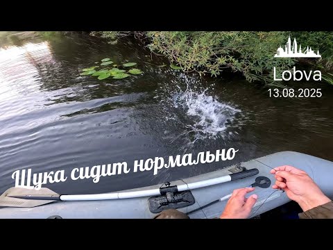 Видео: Рыбалка на поплавок. Крупный План. Проверка Самоловок и Перемёта. 