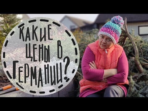 Видео: Садовый зыринг #1☘️ Приглашаю на прогулку по садовому центру. 😍 Устояла ли перед красотой кленов?