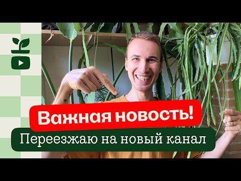 Видео: Мой канал переезжает / новые видео будут выходить, но на новом канале