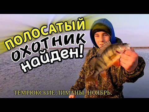 Видео: НАШЛИ СТАЮ ОКУНЯ. СЫН ДОВОЛЕН, НО ЗАМЁРЗ. ТЕМРЮКСКИЕ ЛИМАНЫ. #рыбалка #окунь #сын #природа #казанка
