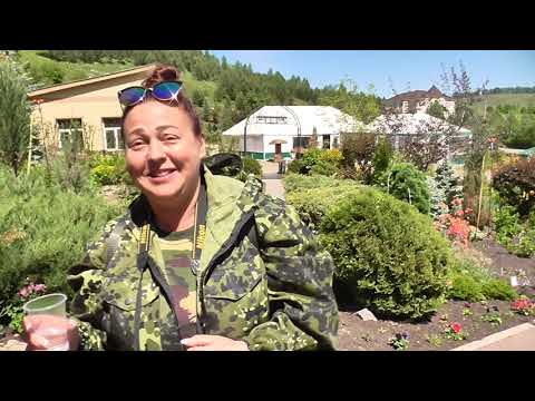 Видео: с. Алтайское. ДЕНДРАРИЙ