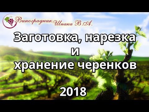 Видео: Заготовка, нарезка, обработка и хранение черенков винограда