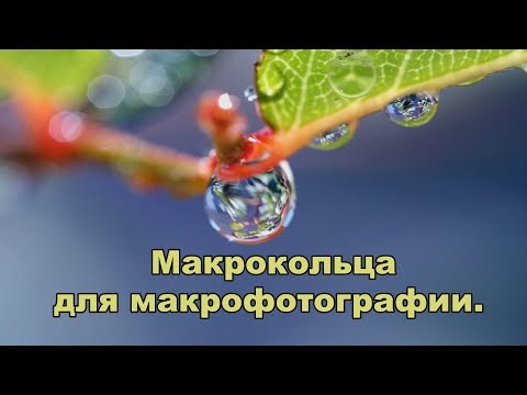 Видео: Макрофотография.Макрокольца для макрофотографии (практический обзор)