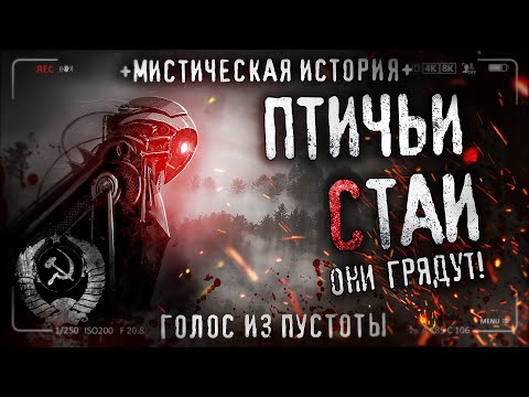 Видео: ПТИЧЬИ СТАИ. Ужасы. СССР. Параллельная вселенная. ТАИНСТВЕННОЕ УСТРОЙСТВО. Страшная история.