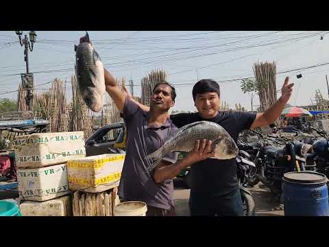 Видео: ХИНДИСТОНДА БАЛИК БОЗОРИ...ФАКАТ КАТТАЛАР КУРСИН...😱😱😱