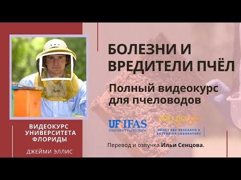 Видео: Болезни и вредители пчел. Полный видеокурс Университета Флориды