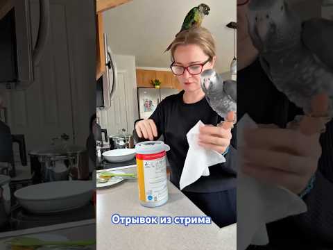 Видео: 30 октября 2025 г.