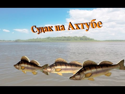 Видео: Русская Рыбалка 3.99 (Russian Fishing) Судак на Ахтубе