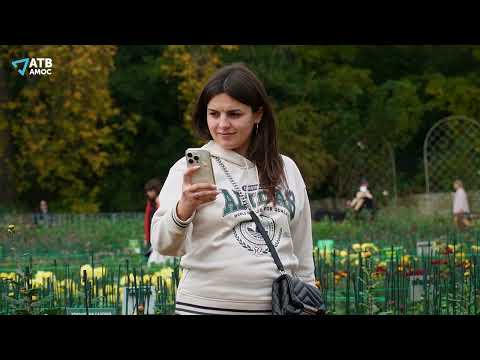 Видео: Бал хризантем 2025:Осеннее танго