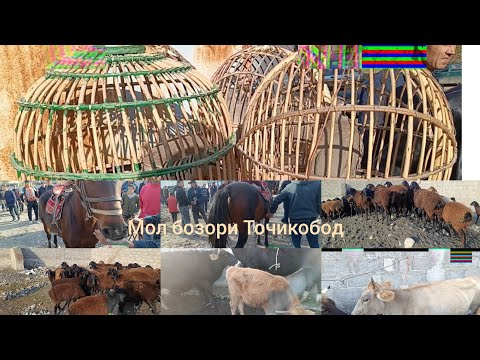 Видео: 🌳мол бозори 🌳Точикобод 🌳сайрун 🌳🇹🇯 17" октябр"👍👍🇹🇯