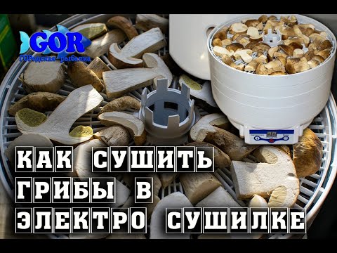 Видео: Как сушить грибы в электросушилке.