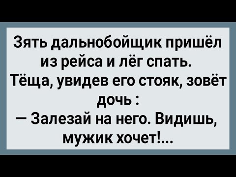 Видео: Как Теща Зятю с Эрекцией Помогла! Сборник Свежих Анекдотов! Юмор!