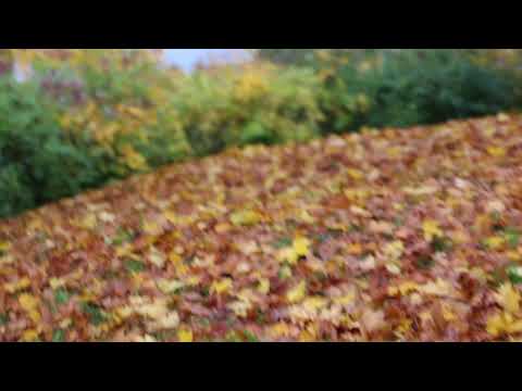 Видео: Гарнизон Людвигслуст: 30 лет спустя (часть 11)