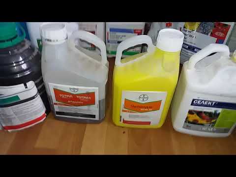 Видео: Средства защиты растений(СЗР) по чесноку и луку. Препараты и их применения.