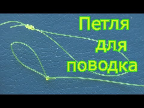Видео: Петля для поводка и 4 узла.  Какой выбрать? My fishing.