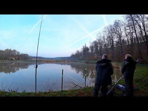 Видео: Рыбалка в Германии. Бешенный клёв карпа!