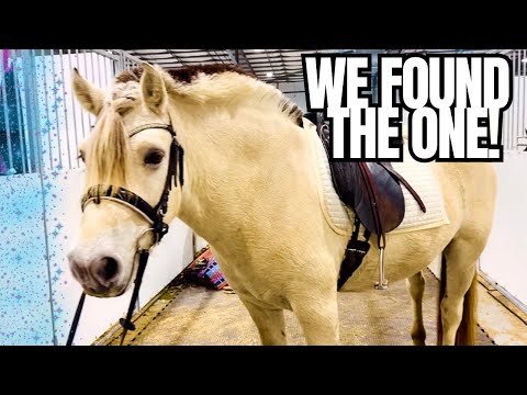 Видео: ШОКИРУЮЩИЙ ПОВОРОТ СОБЫТИЙ НА ЭТОМ ЛОШАДИНОМ АУКЦИОНЕ!!!