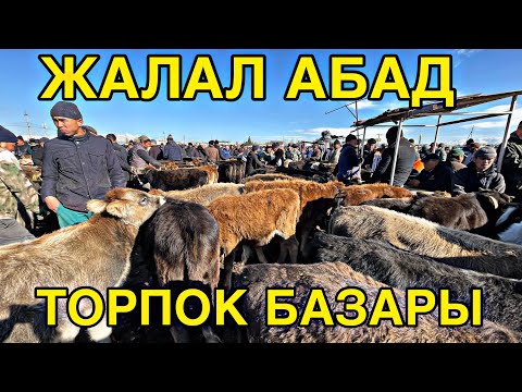 Видео: Жалал абад ТОРПОК БАЗАРЫ #кыргызстан #жалалабадмалбазары