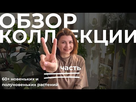 Видео: Большой обзор коллекции комнатных растений, часть 2🪴