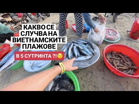 Видео: Виетнам в 5 сутринта: как живеят местните? 🇻🇳
