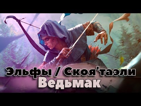 Видео: Эльфы. Скоя'таэли. Энциклопедия Ведьмак. Фэнтези энциклопедия. Кто такие эльфы?