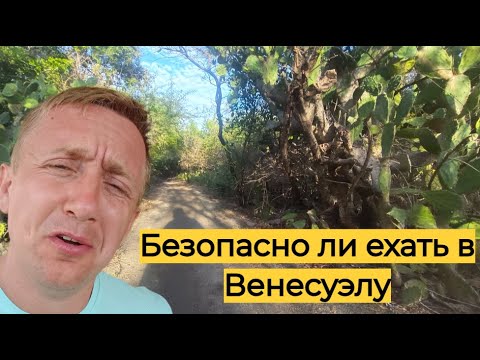 Видео: Вопрос/ответ: Безопасность в Венесуэле. Как меня преследовал мужик в лесу.