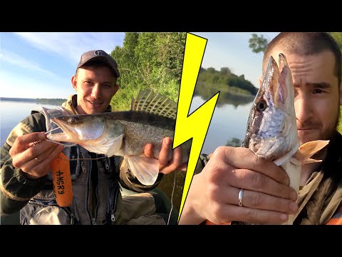 Видео: Троллинг. Исследование реки Вятки. Дневник Рыболова. Рыбалка Мотор Путешествие Щука Судак Окунь