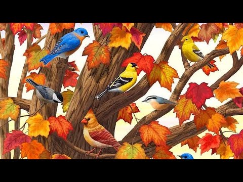 Видео: РИБИ 💫 - СЪОБЩЕНИЯ ЗА ВАС 