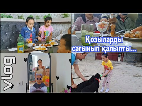 Видео: Влог/Қозыларды сағынып қалыпты...#қазақша #vlog #влог