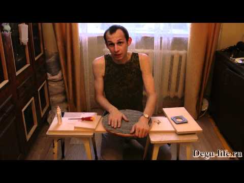 Видео: Самодельная беговая тарелка для дегу и шиншилл