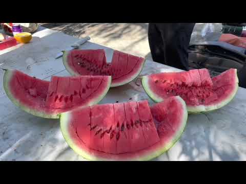 Видео: Отличная рыбалка и отдых в Мукан Толебаеве, река Лепси!