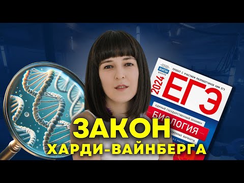 Видео: Задачи на закон Харди Вайнберга