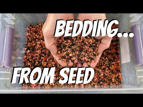 Видео: НЕТ РАЗНООБРАЗИЯ? НЕ ПРОБЛЕМА! Создайте 5-звёздочную среду обитания для местных оленей всего за н...