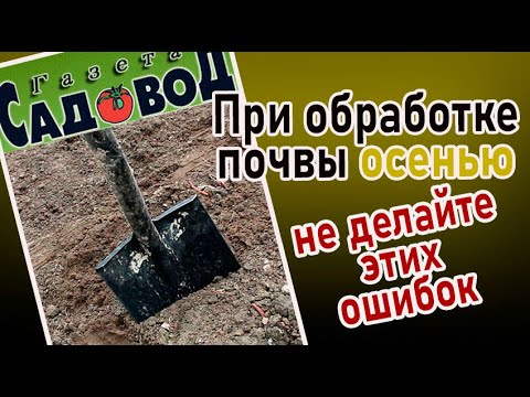 Видео: ПРИ ОБРАБОТКЕ ПОЧВЫ ОСЕНЬЮ не делайте этих ошибок