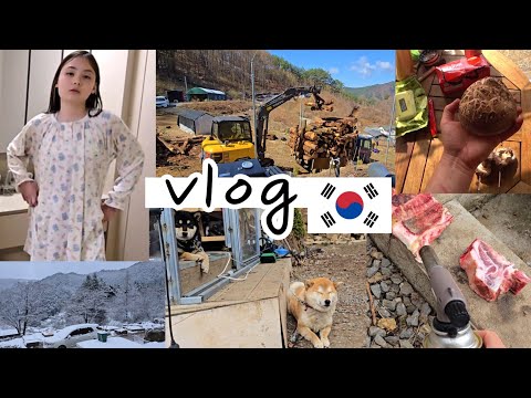 Видео: Стройка на даче / Гелик играет Summer (Joe Hisaishi) / Тоёка сбежал / KOREA VLOG